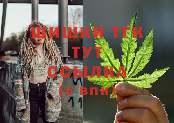 МДПВ Дмитриев
