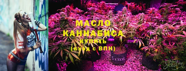 МДПВ Дмитриев