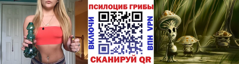 Псилоцибиновые грибы GOLDEN TEACHER Новосокольники
